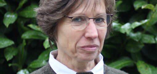 Birgit